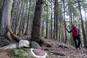 Al Monte Campo e Laghetto di Pietra Quadra da Capovalle-Caprini il 6 aprile 2017 - FOTOGALLERY